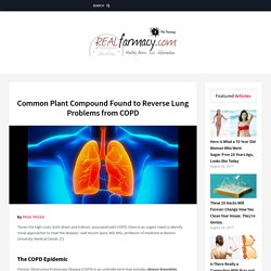 Common Plant Compound Found to Reverse Lung Problems from COPD – REALfarmacy.com