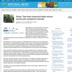 Study: Tree bark compound helps reduce severe pain symptoms naturally (Build 20110413222027)