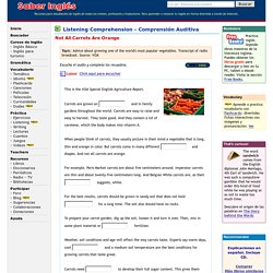 English Listening Comprehension Exercises - Ejercicios de comprensión auditiva de inglés - Para aprender o practicar inglés