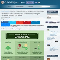 GARDENING: A Comprehensive Guide From Planning to Harvesting, and More (6 pages)