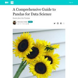 A Comprehensive Guide to Pandas for Data Science
