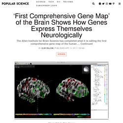 'First Comprehensive Gene Map' of the Brain Shows How Genes Express Themselves Neurologically