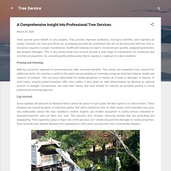 A Comprehensive Insight Into Professional Tree Services