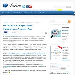 Un Ebook sur Google Panda : Comprendre, Analyser, Agir