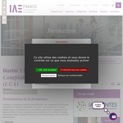 Comptabilité contrôle audit (CCA) - IAE FRANCE - Les Écoles Universitaires de Management