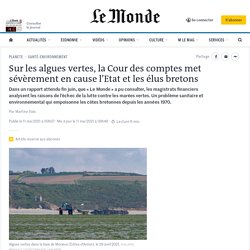 Sur les algues vertes, la Cour des comptes met sévèrement en cause l’Etat et les élus bretons