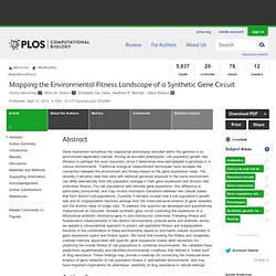 Mapping the Environmental Fitness Landscape of a Synthetic Gene Circuit