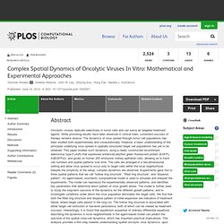 Complex Spatial Dynamics of Oncolytic Viruses In Vitro: Mathematical and Experimental Approaches