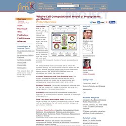 Whole-Cell Computational Model of Mycoplasma genitalium: Overview