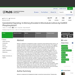 Cytoskeletal Signaling: Is Memory Encoded in Microtubule Lattices by CaMKII Phosphorylation?