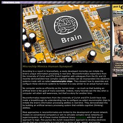 Neural Fields: Your Brain is NOT a Computer!