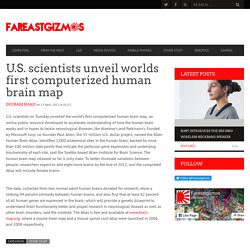 U.S. scientists unveil worlds first computerized human brain map
