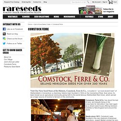 Comstock Home Page