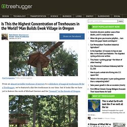 Is This the Highest Concentration of Treehouses in the World? Man Builds Ewok Village in Oregon