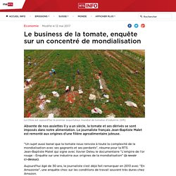 Le business de la tomate, enquête sur un concentré de mondialisation - rts.ch - Economie