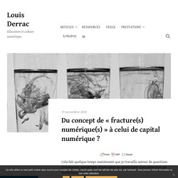 Louis Derrac - Du concept de « fracture(s) numérique(s) » à celui de capital numérique ?