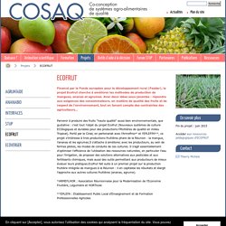 ECOFRUT / Projets - COSAQ - CO-conception de Systèmes Agro-alimentaires de Qualité