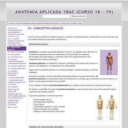 01- CONCEPTOS BÁSICOS - ANATOMÍA APLICADA 1BAC (CURSO 18 - 19)