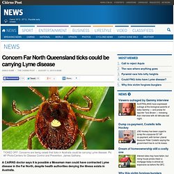 Concern Far North Queensland ticks could be carrying Lyme disease