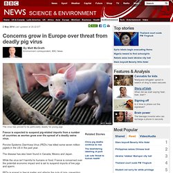 Concerns grow in Europe over threat from deadly pig virus
