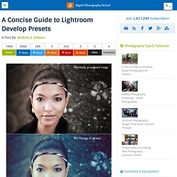 A Concise Guide to Lightroom Develop Presets