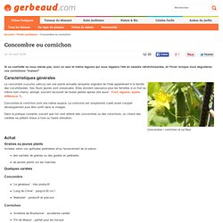 Concombre ou cornichon : semis, plantation et conseils de culture