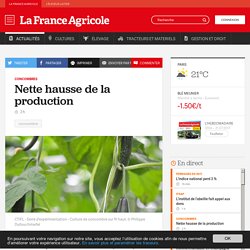 FRANCE AGRICOLE 24/07/17 Concombres - Nette hausse de la production