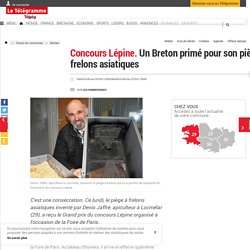 Concours Lépine. Un Breton primé pour son piège à frelons asiatiques - Morlaix