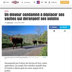 Un éleveur condamné à déplacer ses vaches qui dérangent ses voisins