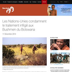 Les Nations-Unies condamnent le traitement infligé aux Bushmen du Botswana