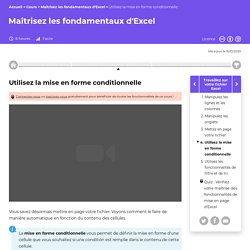 Utilisez la mise en forme conditionnelle - Maîtrisez les fondamentaux d'Excel