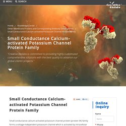 Small Conductance Calcium-activated Potassium Channel Protein Family