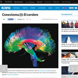 Conectoma (I): El cerebro