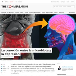 La conexión entre la microbiota y la depresión