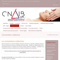 - Confédération Nationale Artisanale des Instituts de Beauté