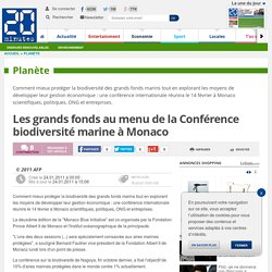 Les grands fonds au menu de la Conférence biodiversité marine à Monaco
