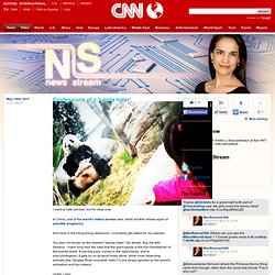 News Stream: Blog Archive - Confessions of a 'panda hater' « - CNN.com Blogs