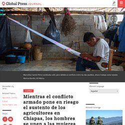 Mientras el conflicto armado pone en riesgo el sustento de los agricultores en Chiapas, los hombres se unen a las mujeres en el telar