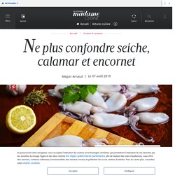 Ne plus confondre seiche, calamar et encornet - Cuisine / Madame Figaro