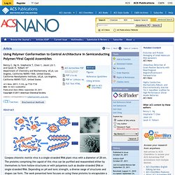 Using Polymer Conformation to Control Architecture in Semiconducting Polymer/Viral Capsid Assemblies - ACS Nano