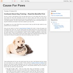 Cause For Paws : Confused About Dog Training – Read the Benefits First