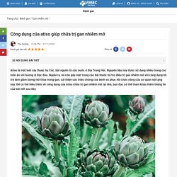 Công Dụng Của Atiso Giúp Chữa Trị Gan Nhiễm Mỡ