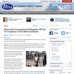 Wyoming's Congressional Delegation Will Go To Congress To Get Wolves Delisted