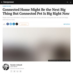 Connected Home Might Be the Next Big Thing But Connected Pet Is Big Right Now
