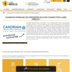 Candriam parraine ses premières ruches connectées en ferme apicole parisienne - Label Abeille
