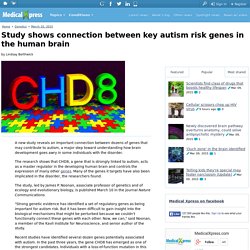 Study shows connection between key autism risk genes in the human brain