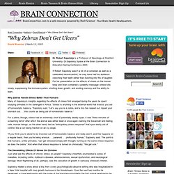 BrainConnection.com - Why Zebras Don't Get Ulcers