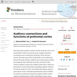Auditory connections and functions of prefrontal cortex