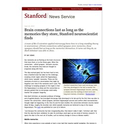 Brain connections last as long as the memories they store, Stanford neuroscientist finds