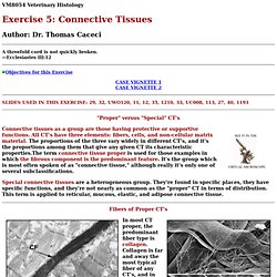 Connective Tissues I: Proper and Special CT's